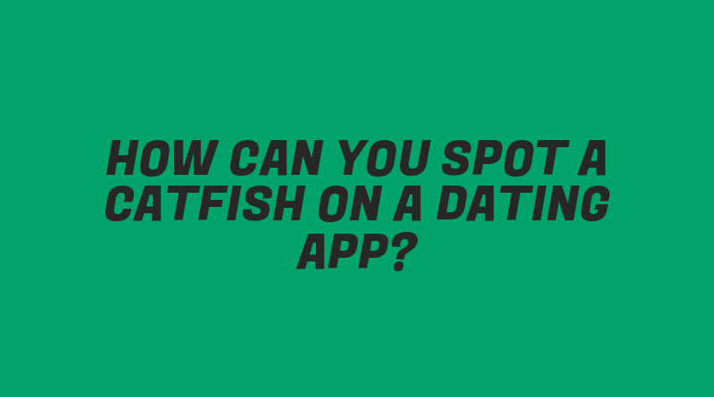 How Can You Spot a Catfish on a Dating App?