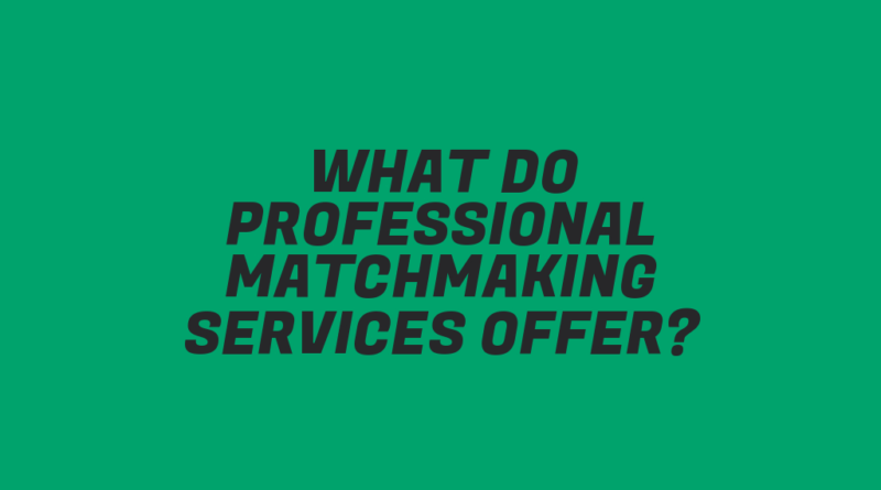 What Do Professional Matchmaking Services Offer?